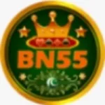 BN55 Game Logo