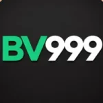 BV9999 Game