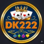 DK222 Game